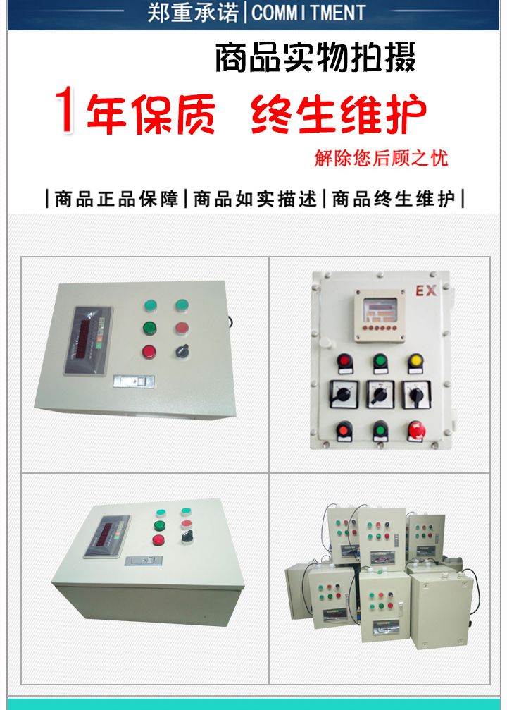 普通型防爆型控制箱